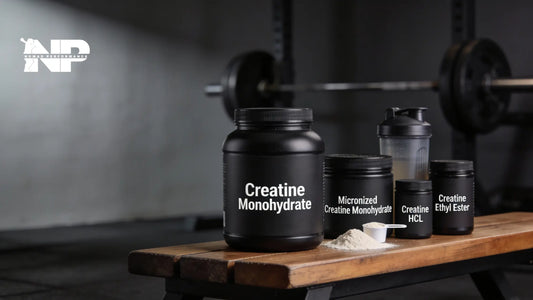 Which Creatine type Is Best for Muscle Growth & Performance?